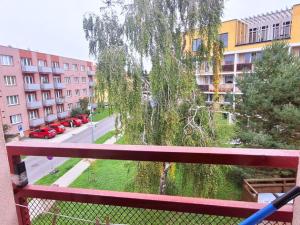 Prodej bytu 2+kk, Benátky nad Jizerou, náměstí 17. listopadu, 38 m2