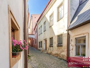 Pronájem bytu 1+1, Olomouc, Kačení, 38 m2