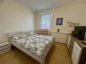 Prodej bytu 2+kk, České Budějovice, Prachatická, 45 m2
