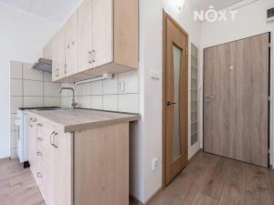 Pronájem bytu 1+1, Žatec, Volyňských Čechů, 36 m2