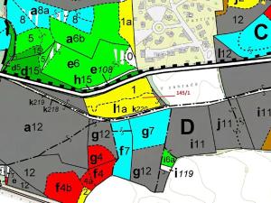 Dražba lesa, Dašice, 12534 m2