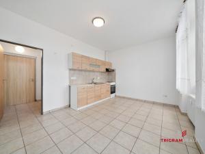 Pronájem kanceláře, Sadová, 43 m2