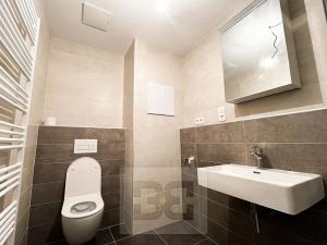 Pronájem bytu 2+kk, Plzeň, Nad Dvorem, 52 m2