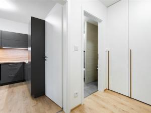 Prodej bytu 1+kk, Liberec - Liberec IV-Perštýn, Na Perštýně, 37 m2
