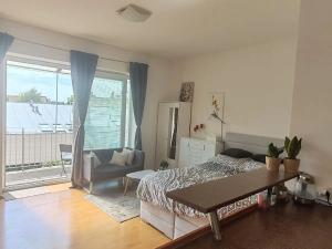 Pronájem bytu 1+kk, Brno, Merhautova, 25 m2