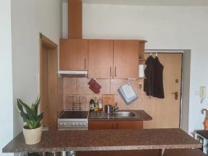 Pronájem bytu 1+kk, Brno, Merhautova, 25 m2