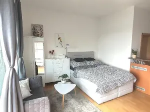 Pronájem bytu 1+kk, Brno, Merhautova, 25 m2