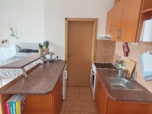 Pronájem bytu 1+kk, Brno, Merhautova, 25 m2