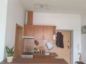 Pronájem bytu 1+kk, Brno, Merhautova, 25 m2