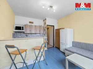 Prodej bytu 1+1, Ústí nad Labem - Severní Terasa, Šípková, 33 m2