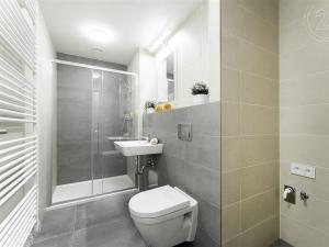 Prodej bytu 1+kk, Liberec - Liberec IV-Perštýn, Na Perštýně, 42 m2