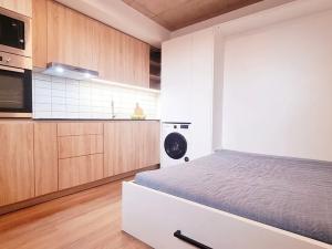 Pronájem bytu 1+kk, Brno, V rejích, 21 m2