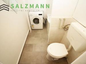 Pronájem bytu 2+1, Plzeň, Dlouhá, 59 m2