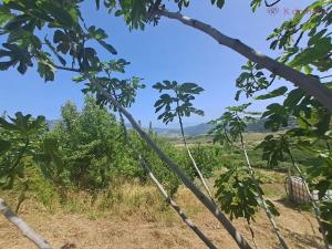 Prodej rodinného domu, San Piero Patti, Itálie, 139 m2