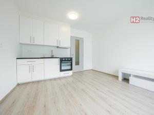 Pronájem bytu 1+kk, Kladno, Vašíčkova, 24 m2