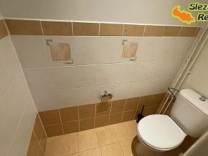 Pronájem bytu 3+1, Ostrava, 17. listopadu, 105 m2