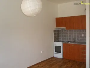 Pronájem bytu 1+kk, Nový Jičín, Hoblíkova, 42 m2