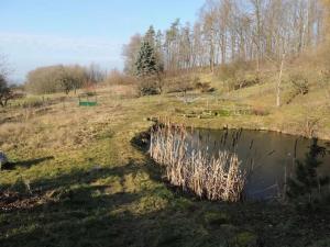 Prodej rodinného domu, Mladějov, 215 m2
