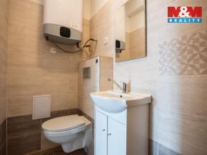 Pronájem bytu 1+kk, Pardubice - Svítkov, U Trojice, 10 m2