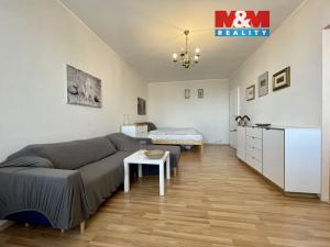 Pronájem bytu 1+1, Teplice, Alejní, 38 m2