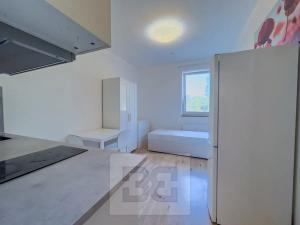 Pronájem bytu 1+kk, Praha - Krč, Budějovická, 20 m2