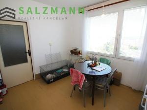 Prodej bytu 1+1, Plzeň, Žlutická, 39 m2