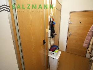 Prodej bytu 1+1, Plzeň, Žlutická, 39 m2