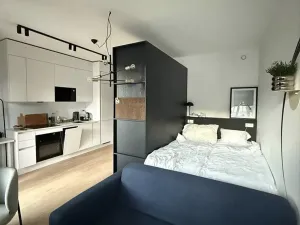 Pronájem bytu 1+kk, Praha - Smíchov, U Lihovaru, 34 m2