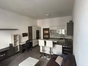 Pronájem bytu 2+kk, Praha - Karlín, Březinova, 55 m2