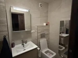 Pronájem bytu 2+kk, Praha - Karlín, Březinova, 55 m2