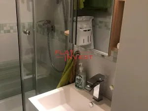 Pronájem bytu 1+1, Praha - Troja, Lešenská, 45 m2