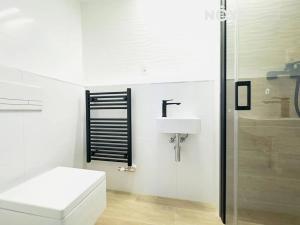 Pronájem bytu 3+kk, České Budějovice, Branišovská, 85 m2