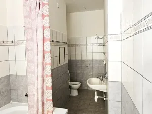 Pronájem bytu 4+kk, Plzeň, Resslova, 90 m2