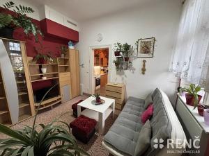 Pronájem bytu 1+1, Brno, Kounicova, 47 m2