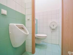Prodej obchodního prostoru, Olomouc, Družební, 102 m2