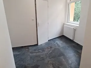 Pronájem bytu 1+1, Plzeň, Stehlíkova, 57 m2