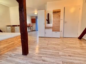 Pronájem bytu 1+kk, Brno, Záhumenice, 58 m2