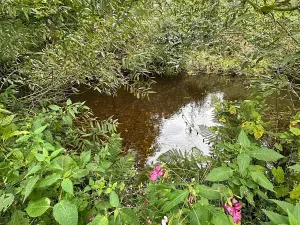 Prodej zahrady, Karlovy Vary, 277 m2