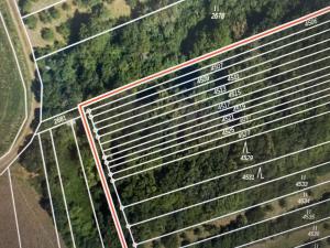 Prodej lesa, Drslavice, 295 m2