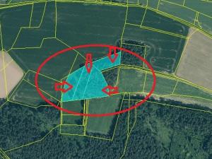 Prodej podílu lesa, Volenice, 3827 m2