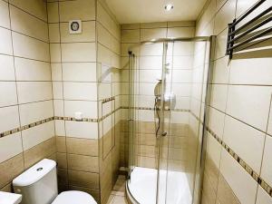 Pronájem bytu 1+kk, Plzeň, Skupova, 20 m2