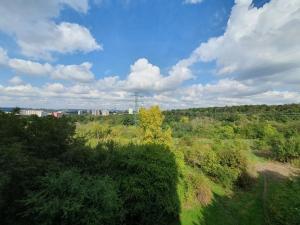 Pronájem bytu 3+1, Praha - Modřany, Vazovova, 75 m2