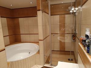 Prodej bytu 3+kk, České Budějovice, Jar. Haška, 112 m2