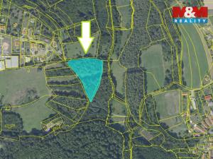 Prodej zahrady, Kostelec nad Černými lesy - Kostelec nad Černými Lesy, 10316 m2