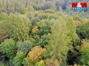 Prodej zahrady, Kostelec nad Černými lesy - Kostelec nad Černými Lesy, 10316 m2