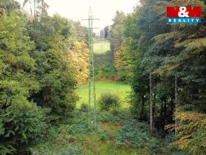 Prodej zahrady, Kostelec nad Černými lesy - Kostelec nad Černými Lesy, 10316 m2