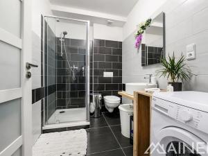 Pronájem bytu 2+kk, Plzeň, V Malé Doubravce, 55 m2
