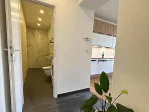 Pronájem bytu 2+kk, Praha - Žižkov, Křivá, 75 m2