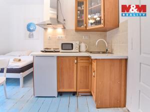 Pronájem bytu 1+kk, Opočno, Nádražní, 22 m2