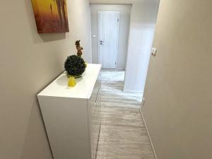 Pronájem bytu 2+1, Hrušovany u Brna, Sídliště, 65 m2
